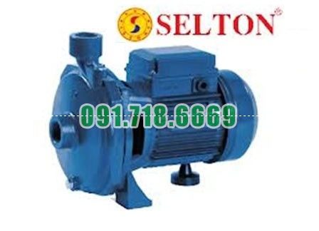 Bán Máy bơm nước Selton K 100 / 740W giá rẻ chính hãng