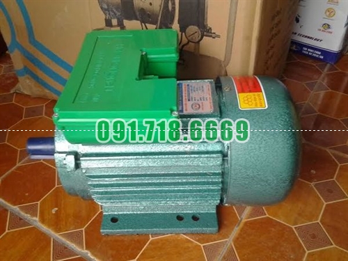 Bán Mô tơ điện Trường Mạnh 15kw giá rẻ chính hãng