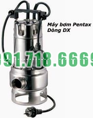 Bán Máy Bơm Nước Thả Chìm Pentax DX 80 G 2″ giá rẻ chính hãng