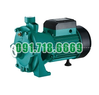 Bán Máy bơm nước Shimge 2SGPN25/160B giá rẻ chính hãng