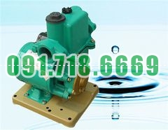 Bán Máy Bơm Nước Chân Không Wilo PW 1500E giá rẻ chính hãng