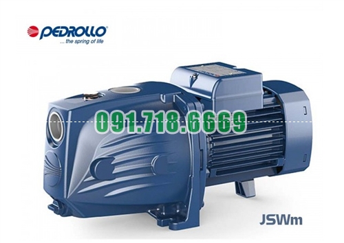 Bán máy bơm nước Pedrollo JSWm-2CX / 750W giá rẻ chính hãng