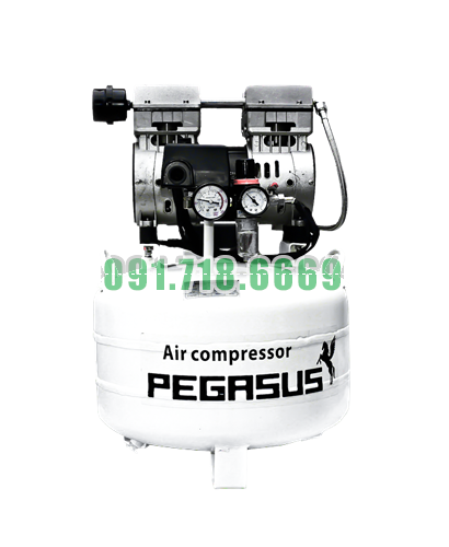 Bán Máy Nén Khí Không Dầu Pegasus TM-OF750-50L-1HP giá rẻ chính hãng