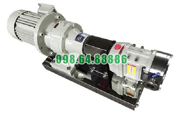 Máy bơm cánh khế 3RP-3 lưu lượng 1.8 m³/h áp suất 0.6 MPa công suất 1.1kW