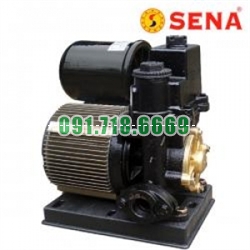 Bán Máy bơm tăng áp lực Sena SEP 251 AE / 250W giá rẻ chính hãng