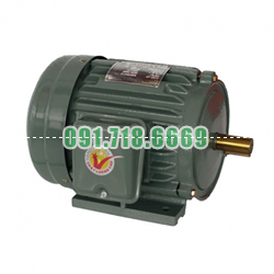 Bán MOTOR VỎ GANG CHÂN ĐẾ HỒNG KÝ HKM212 giá rẻ chính hãng