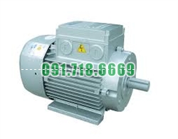 Bán ĐỘNG CƠ ĐIỆN TOÀN PHÁT 2‚2KW giá rẻ chính hãng