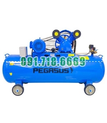 Bán Máy nén khí Pegasus TM-V-0.17/8-120L (2HP) giá rẻ chính hãng