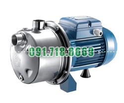 Bán Máy bơm nước ly tâm dân dụng đầu Inox 80/50 0.8HP giá rẻ chính hãng