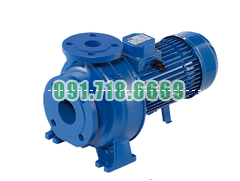Bán Máy Bơm Nước Ly Tâm Trục Ngang Ebara 3D 50-160/7.5 giá rẻ chính hãng