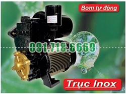 Bán MÁY BƠM TĂNG ÁP THÂN NHÔM SHINING SHP 230EA giá rẻ chính hãng