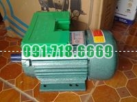 Bán ĐỘNG CƠ ĐIỆN TRƯỜNG MẠNH 3KW giá rẻ chính hãng