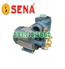 Bán Máy bơm nước Sena SEP-150BE / 150W giá rẻ chính hãng