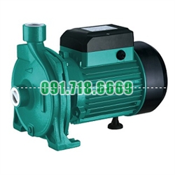 Bán Máy bơm nước ly tâm Shimge CPM170 giá rẻ chính hãng