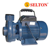 Bán Máy bơm nước Selton ST-27 / 750W giá rẻ chính hãng